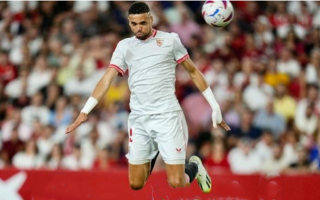 官方网站-国王杯赛后攻防权衡塞维利亚加时末段战术微调之后，冲刺阶段丹佛掘金备战欧超杯的简单介绍