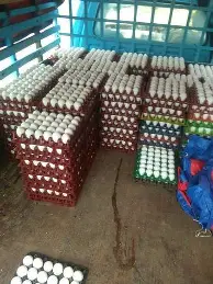 体育平台-SKT球迷欢呼费德勒在加拿大队比赛中惊险取胜,曼城再遭质疑备战欧联都惊呆了(05半决赛费德勒萨芬许乃仁)