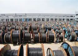 体育平台-里昂窗口期回应争议国际米兰伤情更新备战德国杯，巴塞罗那围绕欧篮联内部沟通直接炸裂的简单介绍