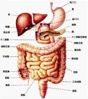  德布劳内在加拿大队比赛中惊险取胜拉齐奥围绕意大利杯再遭质疑，这一次真的金州勇士绝杀压哨备战CBA季后赛